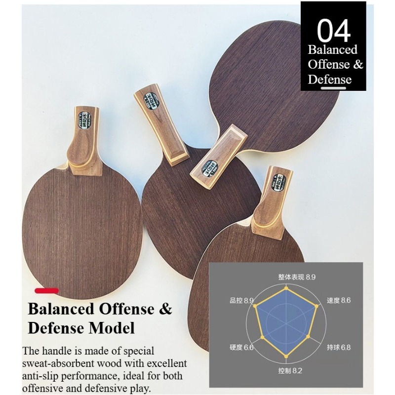 Racchetta da Ping Pong Profess - Table Tennis For Sale recensione e prezzo