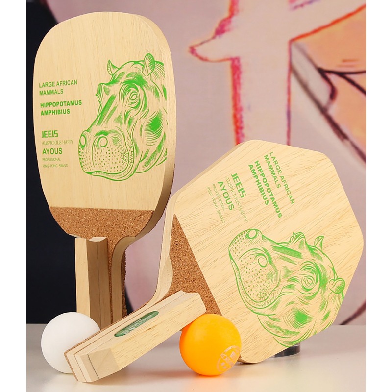 Racchetta da Ping Pong Profess - Table Tennis Japanese recensione e prezzo