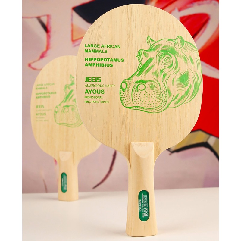 Racchetta da Ping Pong Profess - Table Tennis Japanese recensione e prezzo
