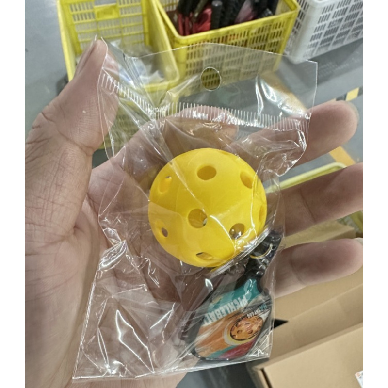 Mini Ciondolo Pickleball, Acce - Table Tennis Score recensione e prezzo